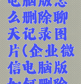 企业微信电脑版怎么删除聊天记录图片(企业微信电脑版如何删除聊天记录)