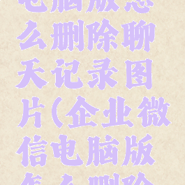 企业微信电脑版怎么删除聊天记录图片(企业微信电脑版怎么删除成员)