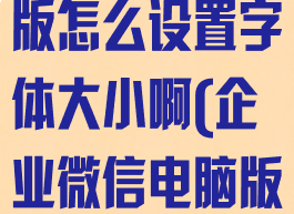 企业微信电脑版怎么设置字体大小啊(企业微信电脑版怎么调字体)