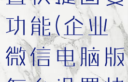企业微信电脑版怎么设置快捷回复功能(企业微信电脑版怎么设置快捷回复功能呢)