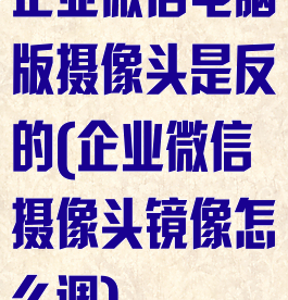 企业微信电脑版摄像头是反的(企业微信摄像头镜像怎么调)