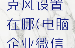 企业微信电脑版麦克风设置在哪(电脑企业微信如何打开麦克风)