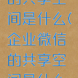 企业微信的共享空间是什么(企业微信的共享空间是什么意思)