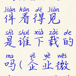 企业微信下载微盘文件看得见是谁下载的吗(企业微信文件下载有记录吗)