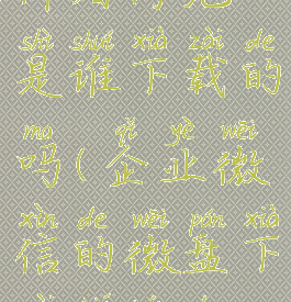 企业微信下载微盘文件看得见是谁下载的吗(企业微信的微盘下载别人的文件会看到吗)