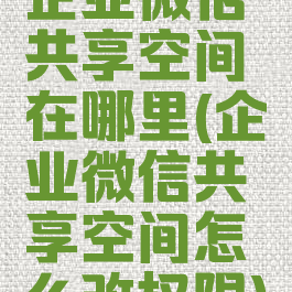 企业微信共享空间在哪里(企业微信共享空间怎么改权限)