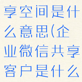 企业微信共享空间是什么意思(企业微信共享客户是什么意思)
