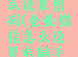 企业微信在电脑怎么设置密码(企业微信怎么设置电脑手机授权登录)