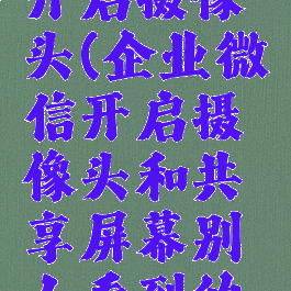 企业微信开启摄像头(企业微信开启摄像头和共享屏幕别人看到的是哪个)