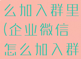 企业微信怎么加入群里(企业微信怎么加入群里面)