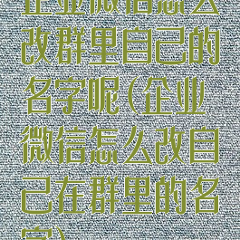 企业微信怎么改群里自己的名字呢(企业微信怎么改自己在群里的名字)