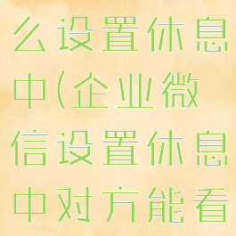企业微信怎么设置休息中(企业微信设置休息中对方能看到吗)