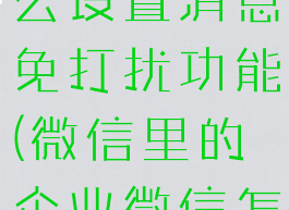 企业微信怎么设置消息免打扰功能(微信里的企业微信怎么免打扰)