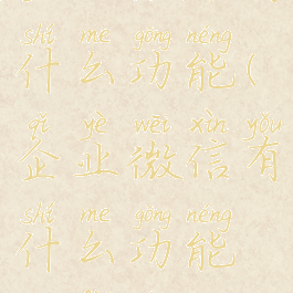 企业微信有什么功能(企业微信有什么功能收费的吗)