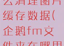 企鹅fm怎么清理图片缓存数据(企鹅fm文件夹在哪里)