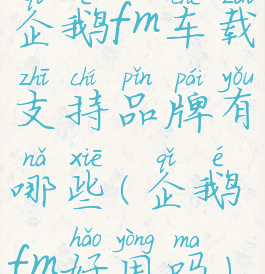 企鹅fm车载支持品牌有哪些(企鹅fm好用吗)