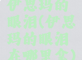 伊思玛的眼泪(伊思玛的眼泪在哪里拿)