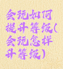 会玩如何提升等级(会玩怎样升等级)