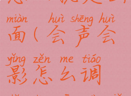 会声会影怎么稳定画面(会声会影怎么调整声音大小)