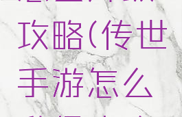 传世手游怎么升级攻略(传世手游怎么升级攻略技能)