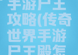 传奇世界手游尸王攻略(传奇世界手游尸王殿怎么走)