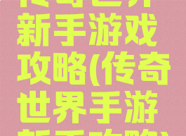 传奇世界新手游戏攻略(传奇世界手游新手攻略)