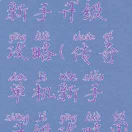 传奇单机新手升级攻略(传奇单机新手升级攻略图)