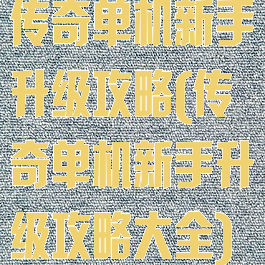 传奇单机新手升级攻略(传奇单机新手升级攻略大全)