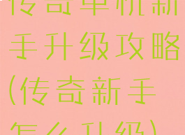 传奇单机新手升级攻略(传奇新手怎么升级)