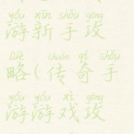 传奇新传手游新手攻略(传奇手游游戏攻略传奇)
