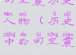 司空震历史人物(历史中的司空震)