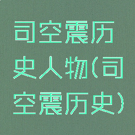 司空震历史人物(司空震历史)