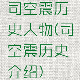 司空震历史人物(司空震历史介绍)
