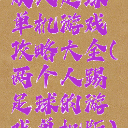 双人足球单机游戏攻略大全(两个人踢足球的游戏单机版)