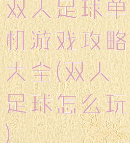 双人足球单机游戏攻略大全(双人足球怎么玩)