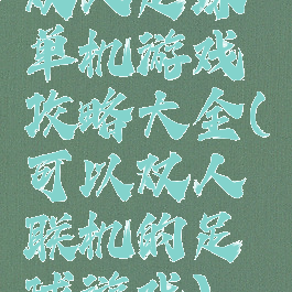 双人足球单机游戏攻略大全(可以双人联机的足球游戏)