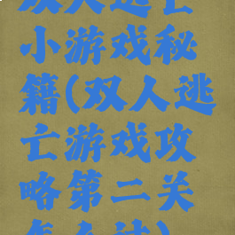 双人逃亡小游戏秘籍(双人逃亡游戏攻略第二关怎么过)