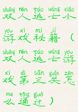 双人逃亡小游戏秘籍(双人逃亡游戏第三关怎么通过)