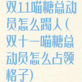 双11喵糖总动员怎么踢人(双十一喵糖总动员怎么占领格子)