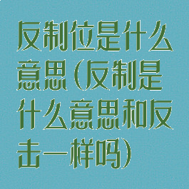 反制位是什么意思(反制是什么意思和反击一样吗)