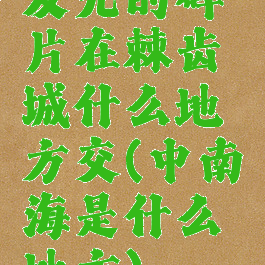 发光的碎片在棘齿城什么地方交(中南海是什么地方)