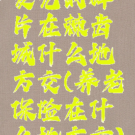 发光的碎片在棘齿城什么地方交(养老保险在什么地方交)