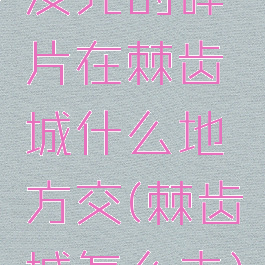 发光的碎片在棘齿城什么地方交(棘齿城怎么去)