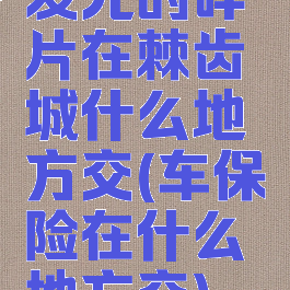 发光的碎片在棘齿城什么地方交(车保险在什么地方交)