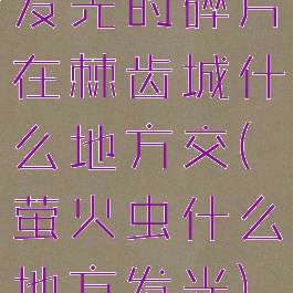 发光的碎片在棘齿城什么地方交(萤火虫什么地方发光)