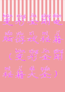 变形金刚电脑游戏秘籍(变形金刚秘籍大全)