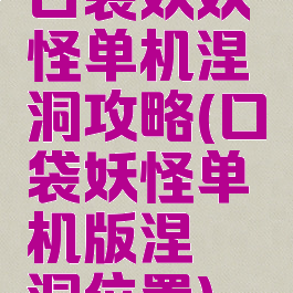 口袋妖妖怪单机涅槃洞攻略(口袋妖怪单机版涅槃洞位置)