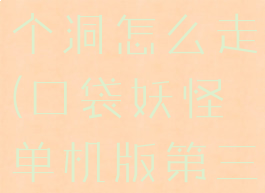 口袋妖怪单机攻略第二个洞怎么走(口袋妖怪单机版第三个山洞怎么走)