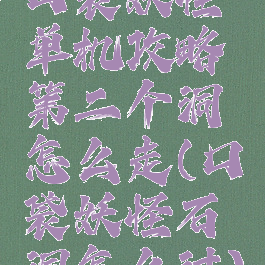 口袋妖怪单机攻略第二个洞怎么走(口袋妖怪石洞怎么过)