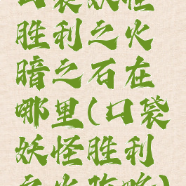 口袋妖怪胜利之火暗之石在哪里(口袋妖怪胜利之火攻略)